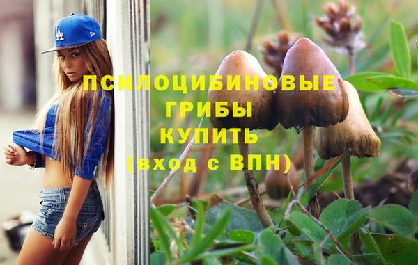 тгк Баксан
