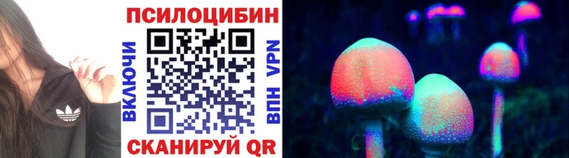 Псилоцибиновые грибы MAGIC MUSHROOMS kraken как войти Северо-Курильск наркота